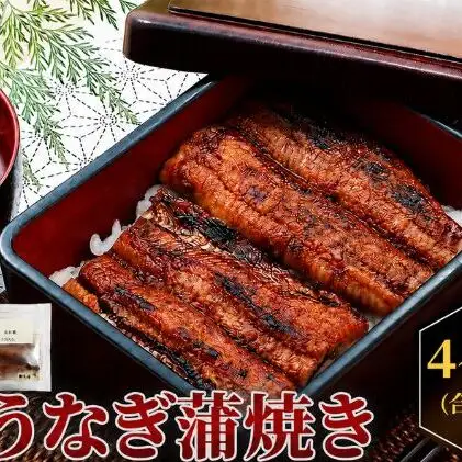 国産うなぎ  蒲焼き 4～6尾セット(合計600g) タレ付き 国産 うなぎ ウナギ 鰻 蒲焼 かば焼き セット 惣菜 冷凍 土用