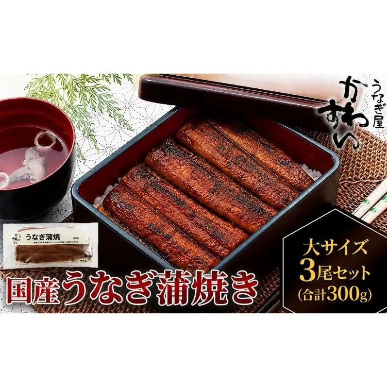 国産うなぎ  蒲焼き 大サイズ 3尾セット(合計300g) タレ付き 国産 うなぎ ウナギ 鰻 蒲焼 かば焼き 3尾 セット 惣菜 冷凍