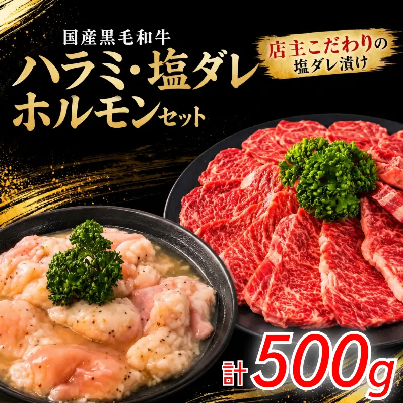 国産黒毛和牛 ハラミ・塩ダレホルモンセット計500g 肉 国産 阿波牛