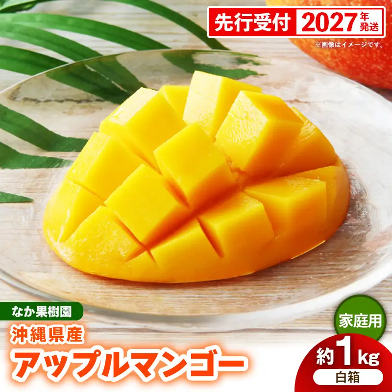 【先行受付】【2027年発送】なか果樹園 アップルマンゴー 家庭用 約1kg （白箱）- 産地直送 先行予約 沖縄県産 ご自宅用 南国フルーツ 旬の味覚 オススメ 沖縄県 八重瀬町