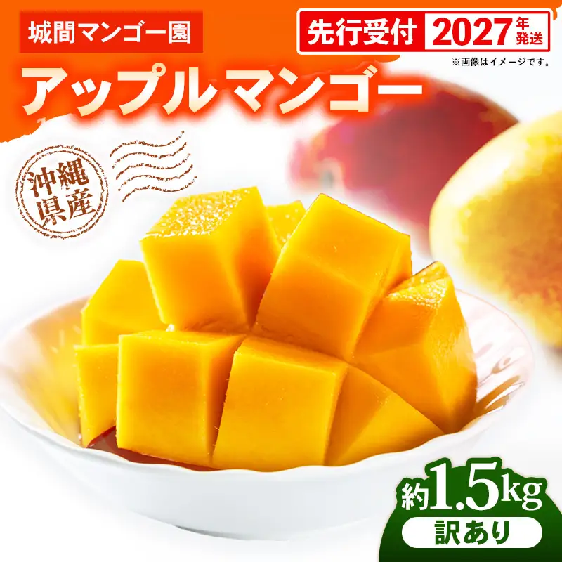【先行受付】【2027年発送】城間マンゴー園のアップルマンゴー 訳あり 約1.5kg - 先行予約 沖縄県産 産地直送 南国フルーツ 旬の味覚 季節の果物 ご自宅用 訳アリ 家庭用 沖縄マンゴー 沖縄県 八重瀬町【価格改定】