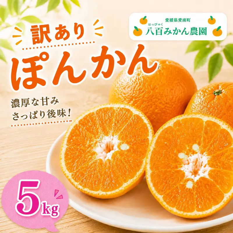 【先行予約：2027年1月下旬～】訳あり ポンカン 5kg 7000円 八百みかん農園 愛媛県 愛南町