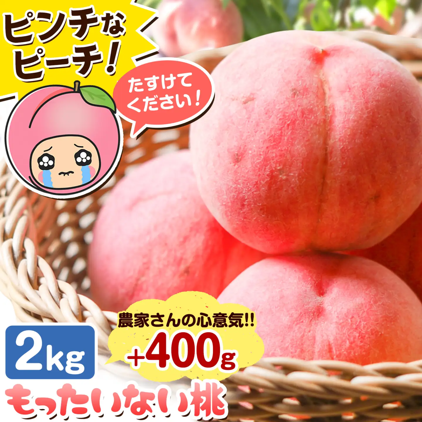 もったいない 桃 約2kg + 400g【配送不可地域あり】
