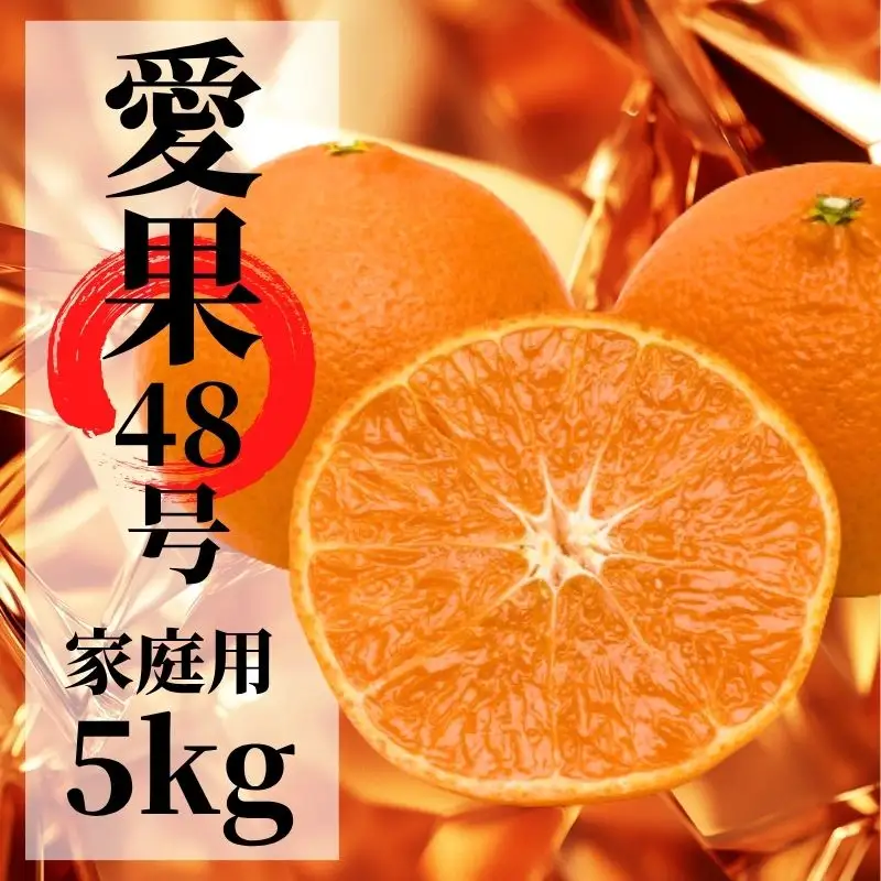 【2027年2月下旬頃から順次発送】愛果48号　家庭用 約5kg  | 愛媛 愛媛県産みかん 蜜柑 ミカン mikan みかん あいか  柑橘 お取り寄せ グルメ 期間限定 数量限定 あまい甘い 果物 旬  美味しい  愛媛県 松山市【PT050】
