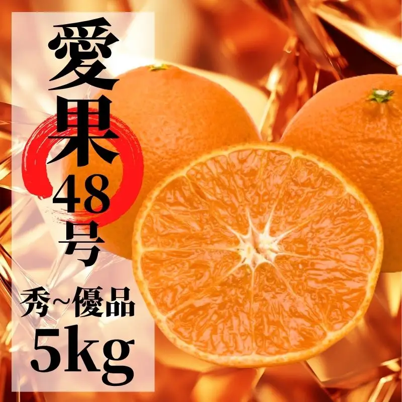 【2027年2月下旬頃から順次発送】愛果48号 秀～優品 約5.0kg  | 愛媛 愛媛県産みかん 蜜柑 ミカン mikan みかん あいか  柑橘 お取り寄せ グルメ 期間限定 数量限定 果物 旬 愛媛県 松山市 【PT052】