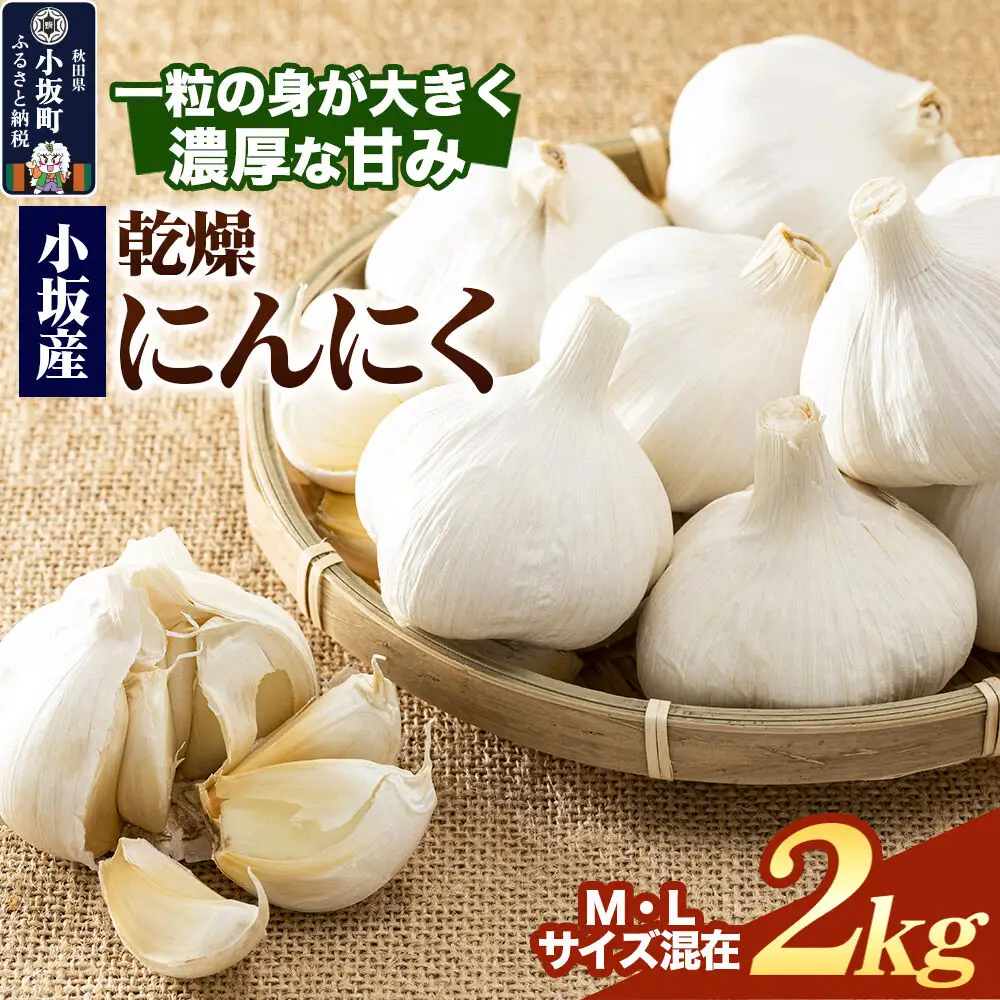 《先行受付》小坂産 乾燥にんにく  2kg