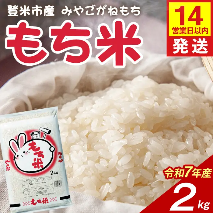 【14営業日以内に発送予定】もち米 みやこがねもち 2kg×1袋 精米 お米 おこめ 米 コメ もち モチ モチ米 おこわ 餅 おもち 赤飯 餅つき 宮城県 登米市産 【登米ライスサービス株式会社】tm727