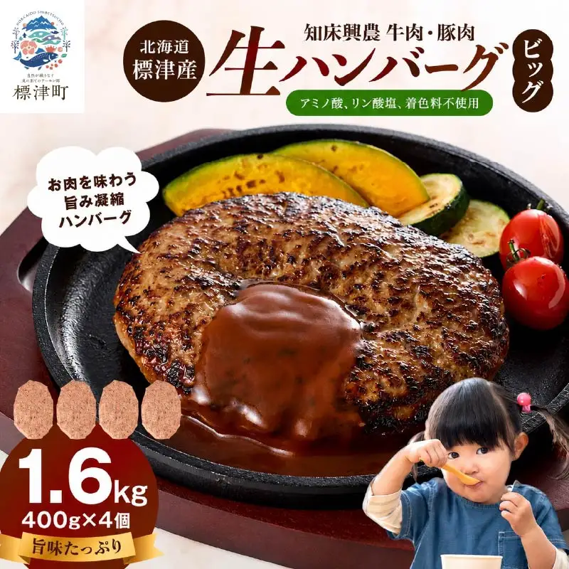 ビッグ生ハンバーグ 400g×4個セット ビッグハンバーグ 【AC】