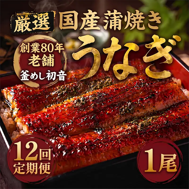 【老舗初音】【12回定期便】国産うなぎ 蒲焼き約190g×1尾 ＼ 高知県産 鰻蒲焼き ／