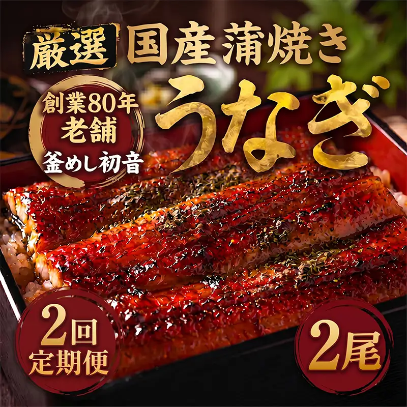 【老舗初音】【2回定期便】国産うなぎ 蒲焼き約190g×2尾 ＼ 高知県産 鰻蒲焼き ／