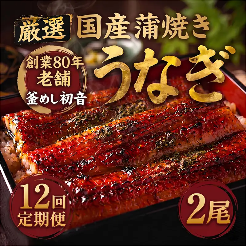 【老舗初音】【12回定期便】国産うなぎ 蒲焼き約190g×2尾 ＼ 高知県産 鰻蒲焼き ／