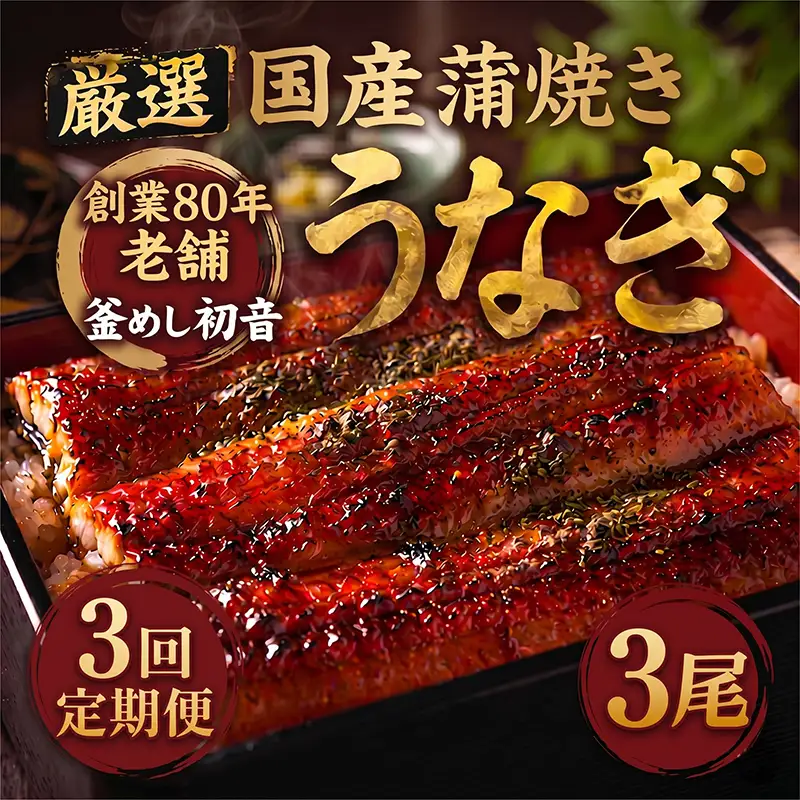 【老舗初音】【3回定期便】国産うなぎ 蒲焼き約190g×3尾 ＼ 高知県産 鰻蒲焼き ／