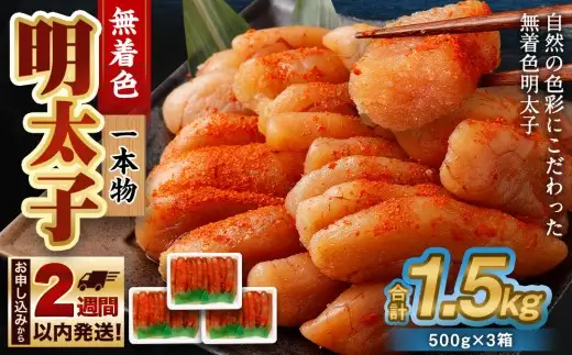 無着色 明太子 (一本物) 1.5kg （500g×3） めんたいこ 明太子 無着色 冷凍
