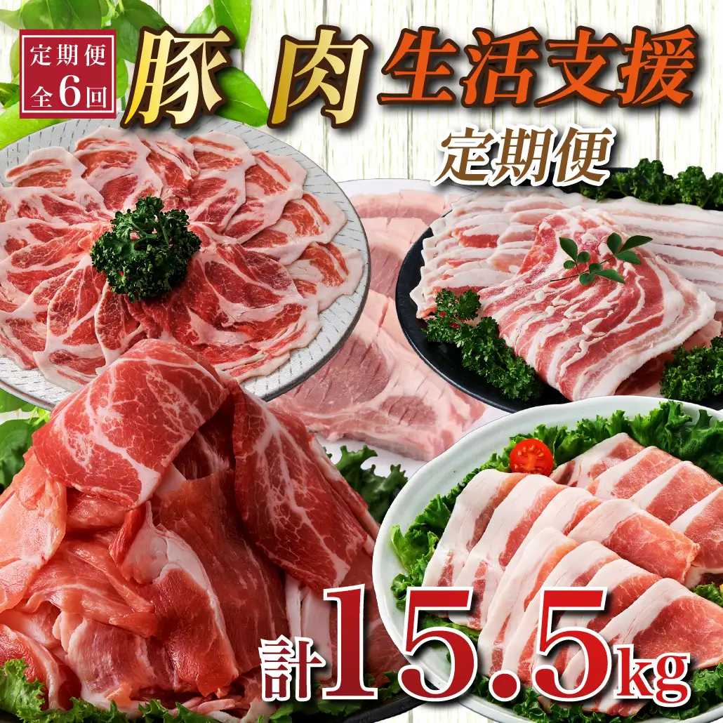 【定期便全6回】生活支援定期便15.5kg(豚切り落とし 豚バラスライス 豚肩ロース しゃぶしゃぶ 肩ロース生姜焼き 豚ロースとんかつ 豚モモウデ切り落とし 国産 九州産）