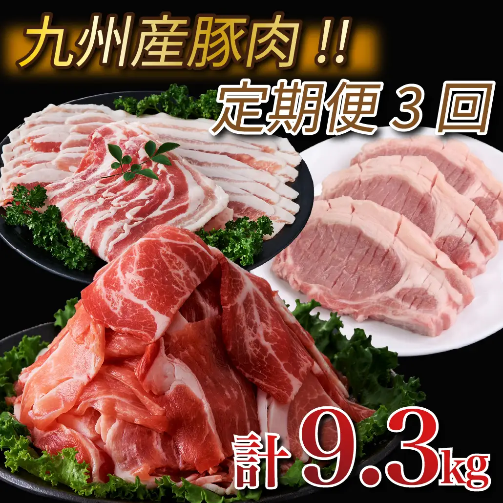 【定期便・全3回】九州産豚肉3種セット定期便(大容量 九州産豚肉 国産豚肉 炒め物 しゃぶしゃぶ とんかつ 焼肉 生姜焼き 肉じゃが カレー 豚汁)