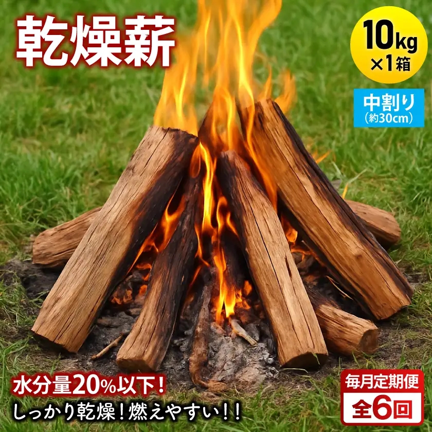 【毎月定期便】乾燥薪 キャンプ用 10kg 中割(約30cm) 広葉樹ミックス全6回【4087724】