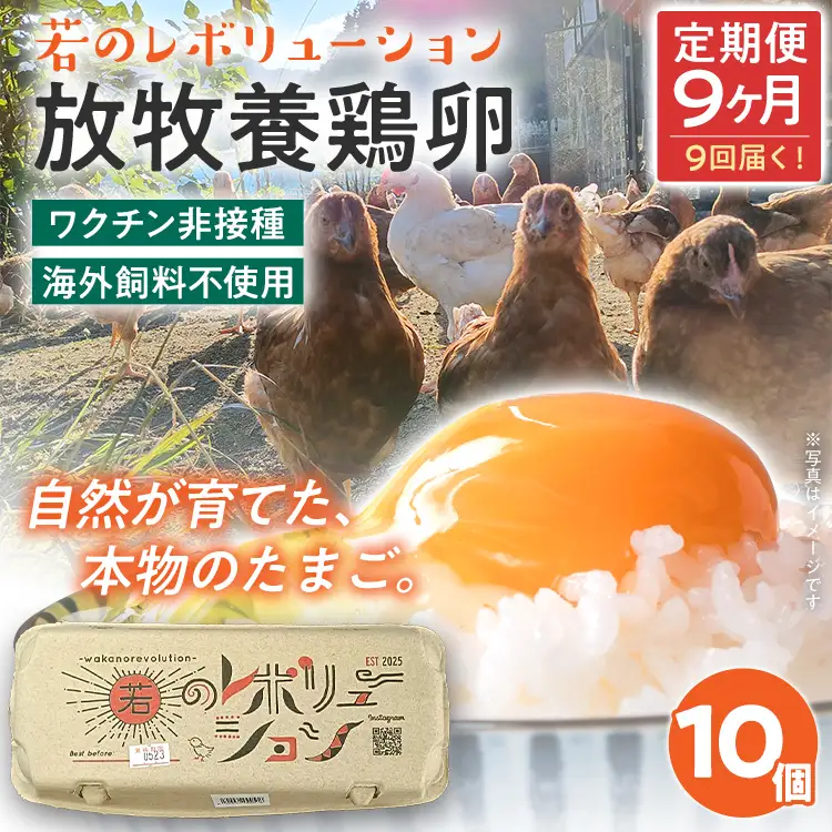 卵 定期便 9回 放牧養鶏卵 10個 「破損補償2個含」 9ヶ月間 若のレボリューション 卵 ※北海道・沖縄・離島は配送不可