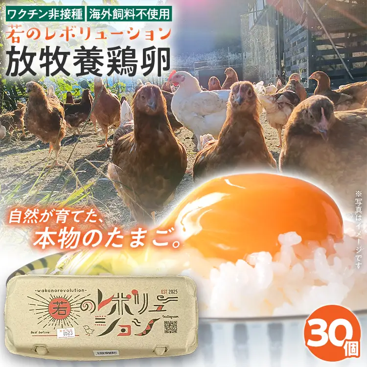 卵 放牧養鶏卵 30個 「破損補償2個含」 若のレボリューション 卵 ※北海道・沖縄・離島は配送不可