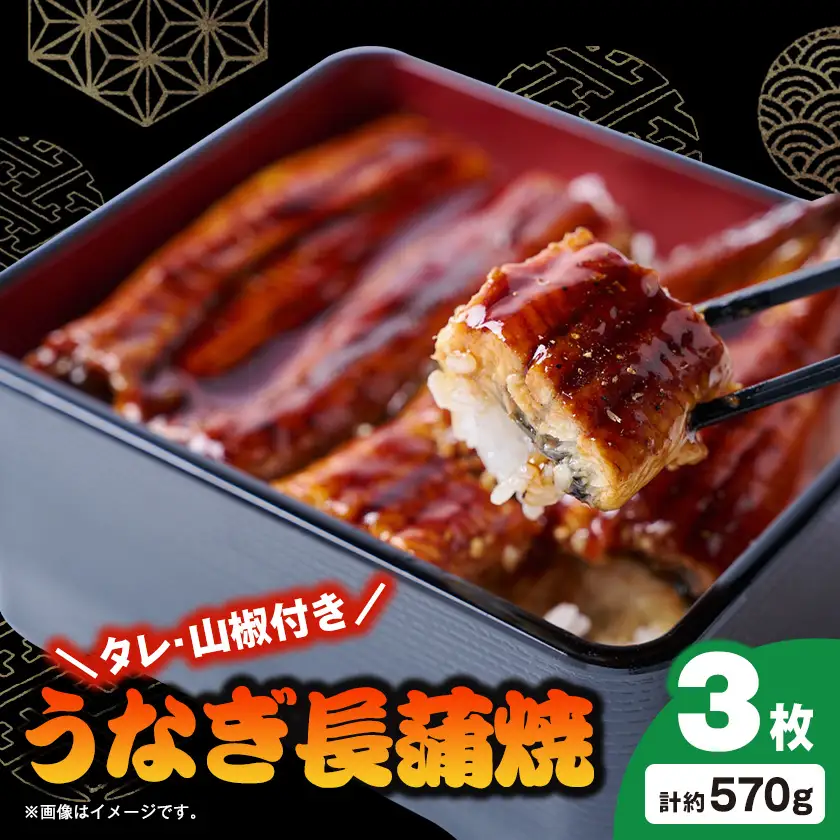 うなぎ長蒲焼約570g(約190g×3)【配送不可地域：離島】【1743609】