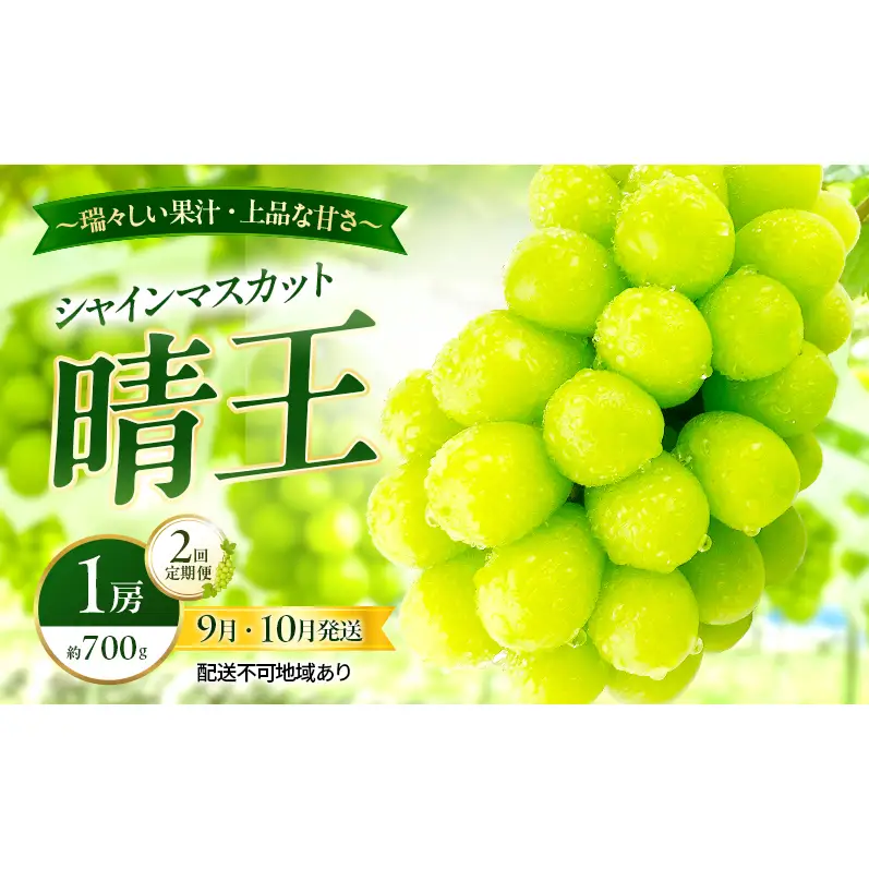ぶどう 2026年 先行予約 定期便 シャインマスカット 晴王 1房 約700g 9月・10月 2回発送  岡山県産 シャインマスカット
