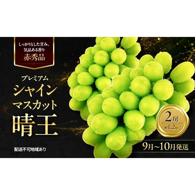 ぶどう 2026年 先行予約 赤秀ぶどう プレミアム シャインマスカット 晴王 2房 1.2kg 9月～10月発送  岡山県産 シャインマスカット