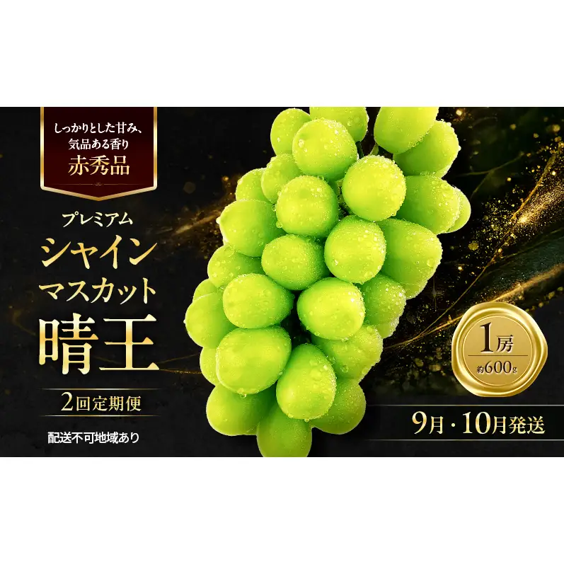 ぶどう 2026年 先行予約 定期便 赤秀ぶどう プレミアム シャインマスカット 晴王 1房 600g 9月・10月 2回発送 岡山県産 シャインマスカット