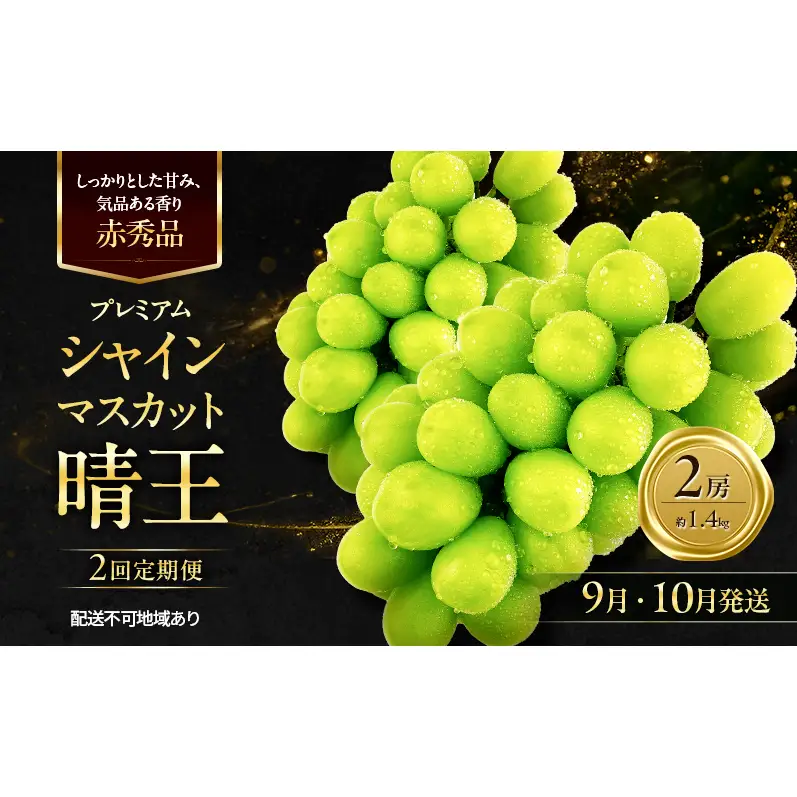 ぶどう 2026年 先行予約 定期便 赤秀ぶどう プレミアム シャインマスカット 晴王 2房 1.4kg 9月・10月 2回発送  岡山県産 シャインマスカット