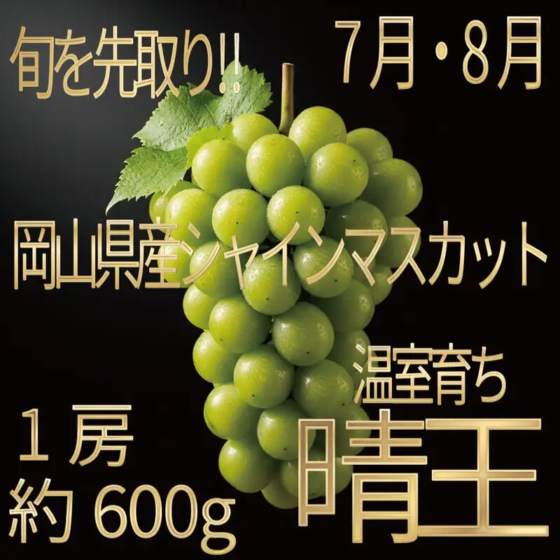 [HS]ぶどう先行予約7月・8月発送温室シャインマスカット晴王1約600g ブドウ 葡萄 岡山県産 国産 フルーツ 果物 ギフト デザート 食後 酸味が少ない 産地直送