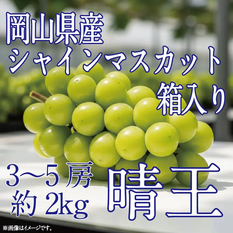 [HS]ぶどう先行予約9月・10月発送シャインマスカット晴王2kg箱（3～5房） 岡山県産 シャインマスカット