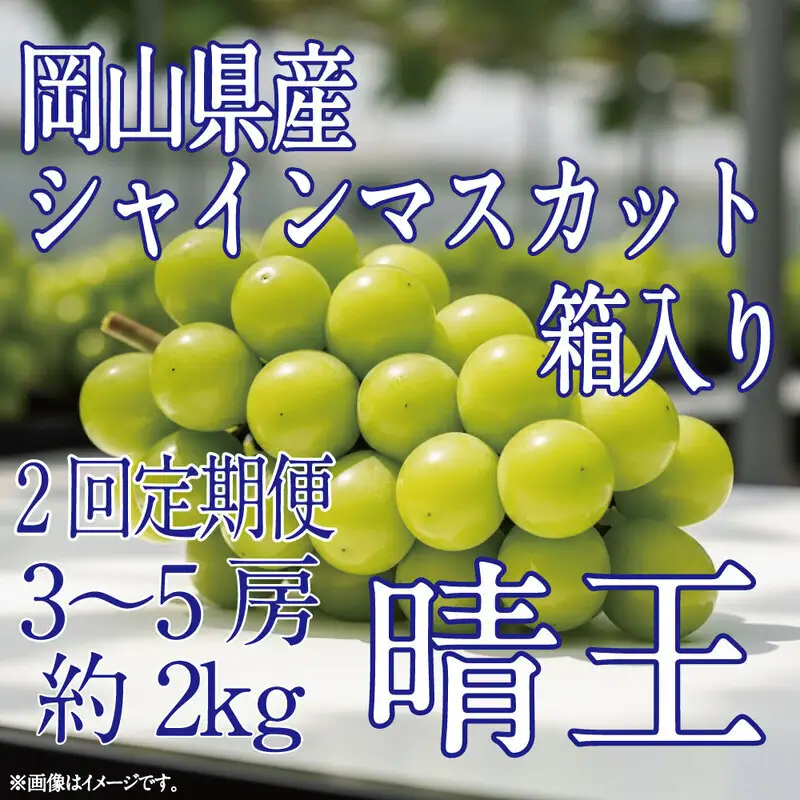 [HS]【定期便全2回】ぶどう先行予約9月・10月発送シャインマスカット晴王2kg箱（3～5房） 岡山県産 シャインマスカット