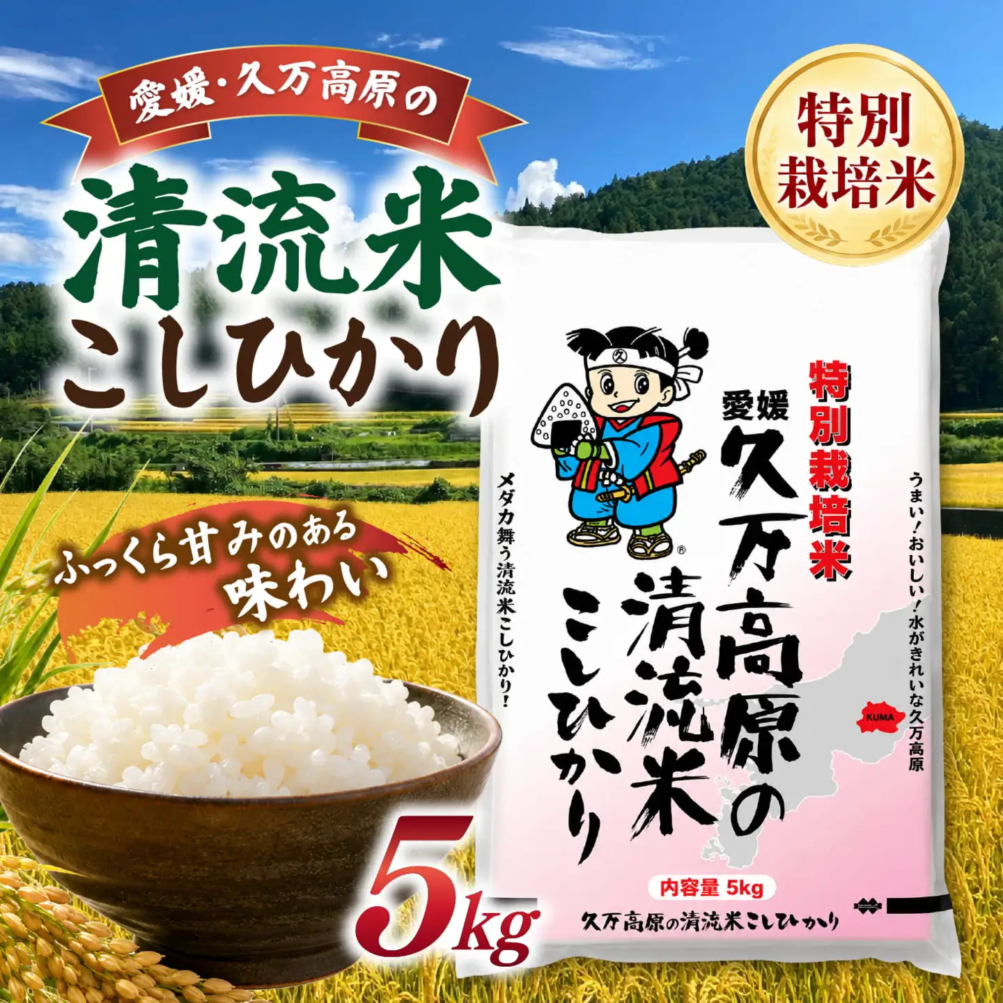 【R8年産】新米 久万高原町 清流米 こしひかり 5kg｜特別栽培米 減農薬 減化学肥料 コシヒカリ 白米 愛媛県産 米 ※2026年9月～発送