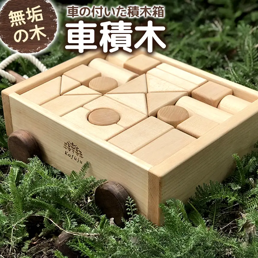 車積木