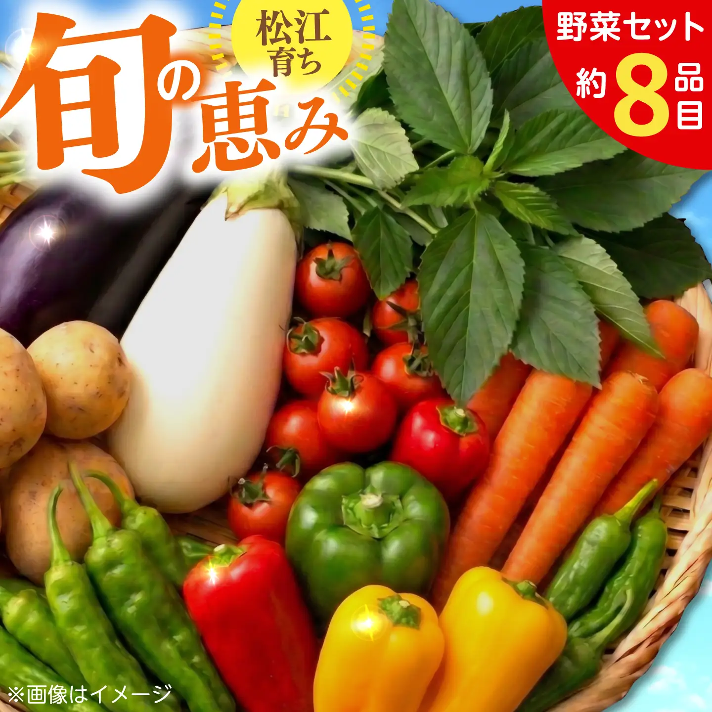 【旬の野菜セット】野菜 産地直送 詰め合わせ 栽培期間中農薬不使用 セット　島根県松江市/須山農園[ALBD004]