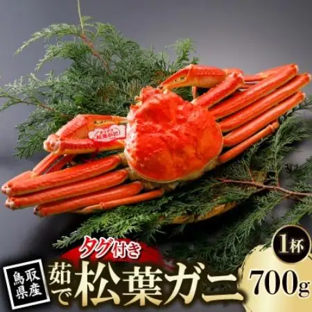 【先行予約】鳥取県産 タグ付き 茹 松葉がに 700g×1杯(中村商店)2026年11月発送【配送不可地域：離島・北海道・沖縄県・東北・信越、北陸】【1654015】