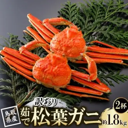 【先行予約】鳥取県産 訳あり 茹 松葉がに 900g×2杯(中村商店)2026年11月発送【配送不可地域：離島・北海道・沖縄県・東北・信越、北陸】【1654047】