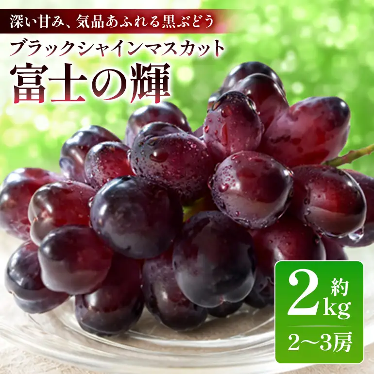 【数量限定・期間限定】 ブラックシャインマスカット「富士の輝」約2kg（2房～3房） 54-E