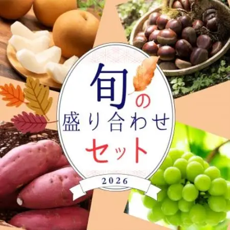 【茨城県産/2026年秋発送分】旬の詰め合わせ　-シャインマスカット・梨・さつまいも・栗-【配送不可地域：離島・沖縄県】【1739601】