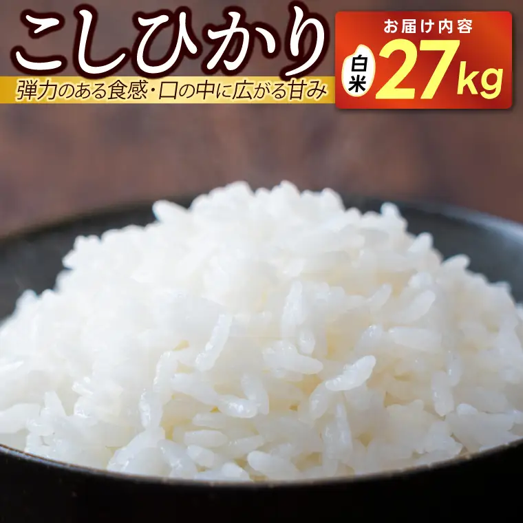 ＼新米 先行予約 ／★令和8年産★ 「コシヒカリ」白米 精米 27キロ   (AU043)