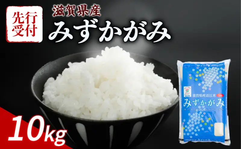 【先行予約】 みずかがみ 新米 新米 10kg 令和8年度産