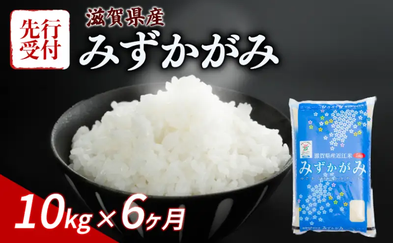 【令和8年産】 先行予約 新米 みずかがみ 10kg (5kg×2) 6ヶ月定期便 令和8年産 米 ご飯