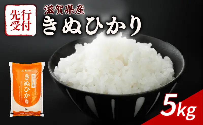 【令和8年産】 先行予約 新米 きぬひかり 5kg 令和8年産 米 キヌヒカリ 近江米