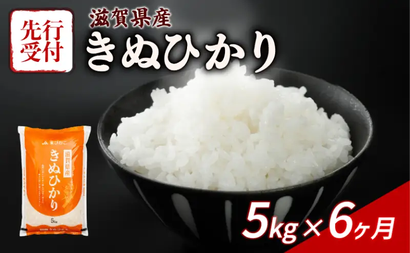 【令和8年産】 先行予約 新米 きぬひかり 5kg 6回定期便 令和8年産 定期便 米 キヌヒカリ