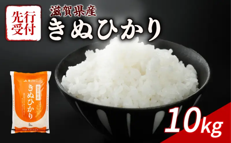 【令和8年産】 先行予約 新米 きぬひかり 10kg ( 5kg ×2) 令和8年産 米 近江米 キヌヒカリ