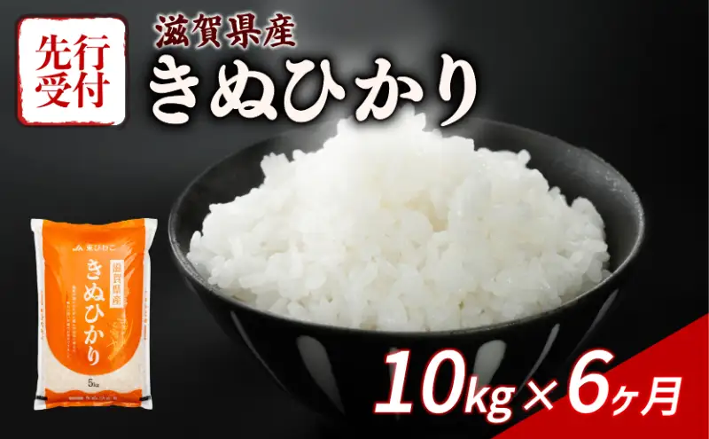 【令和8年産】 先行予約 新米 きぬひかり 10kg ( 5kg ×2) 6回定期便 令和8年産 定期便 米 キヌヒカリ