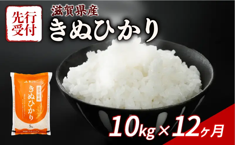 【令和8年産 新米】先行予約 きぬひかり 10(5kg x 2)kg 12回定期便 新米