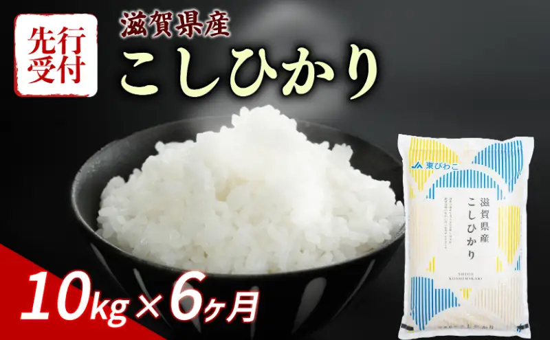 【令和8年産】 先行予約 新米 こしひかり 10kg (5kg×2) 6回定期便 令和8年産 定期便 米 コシヒカリ