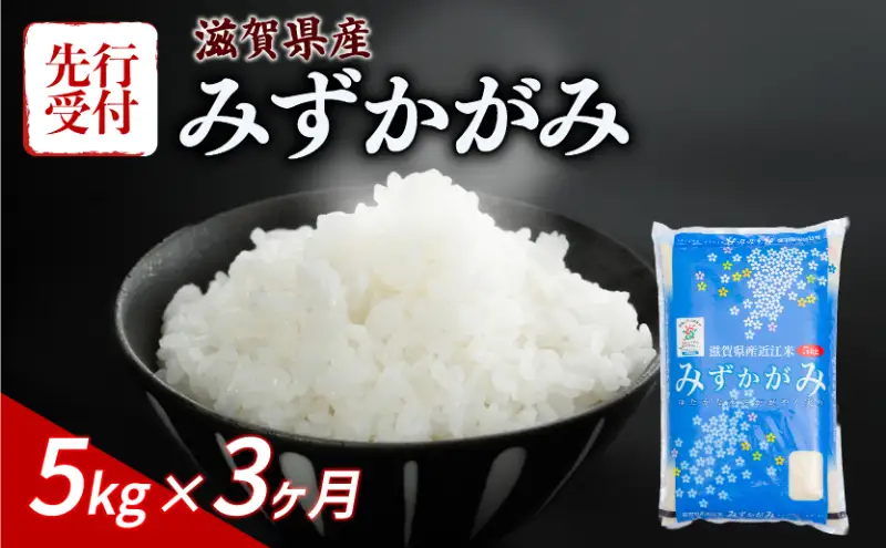【令和8年産】 先行予約 新米 みずかがみ 5kg 3ヶ月定期便 令和8年産 米 こめ ご飯 米 定期便