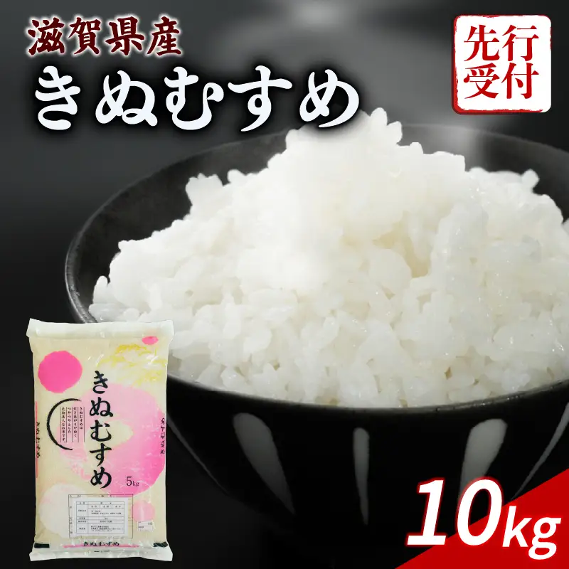 【令和8年産】 先行予約 新米 きぬむすめ 10kg ( 5kg ×2) 令和8年産 米 キヌムスメ 10キロ 令和8年 近江米