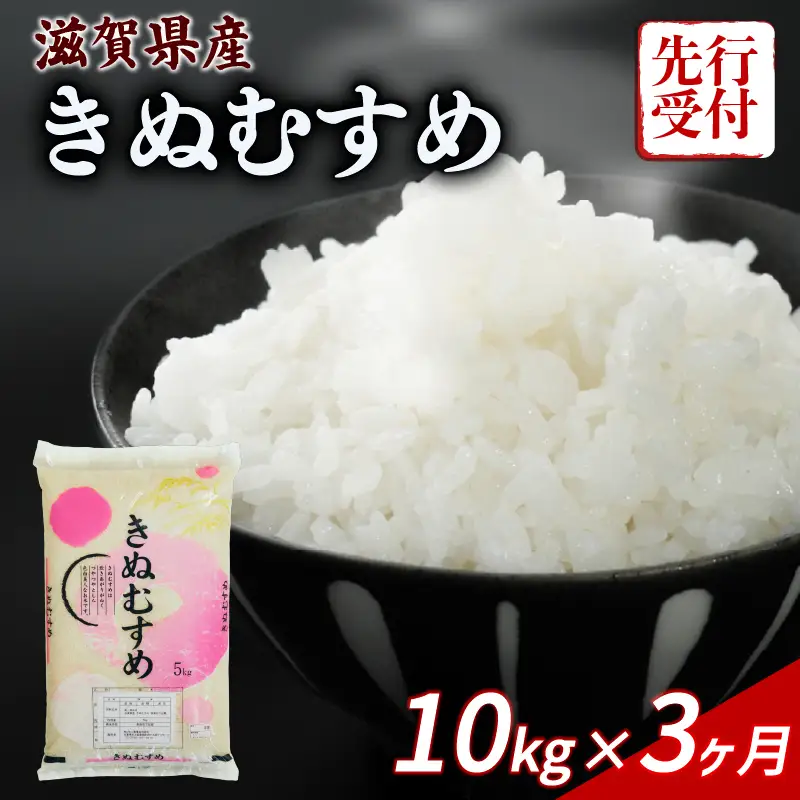 【令和8年産】 先行予約 新米 きぬむすめ 10kg ( 5kg ×2) 3回定期便 令和8年産 定期便 米 キヌムスメ