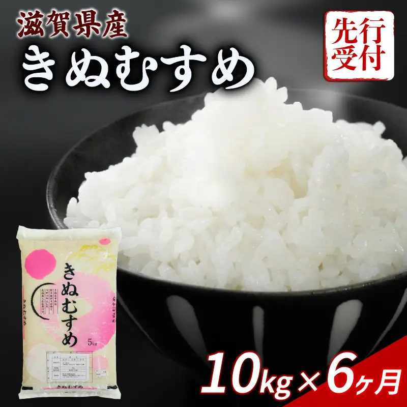 【令和8年産】 先行予約 新米 きぬむすめ 10kg ( 5kg ×2) 6回定期便 令和8年産 定期便 キヌムスメ
